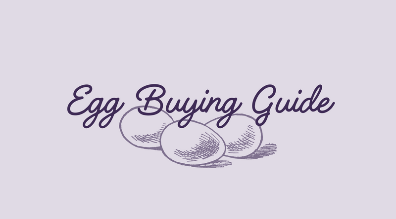 Egg Buying Guide