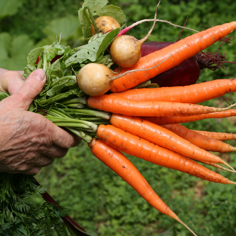 Image of Organic Produce